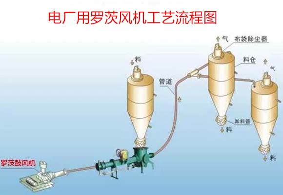 電廠用羅茨鼓黄瓜TV免费视频案例